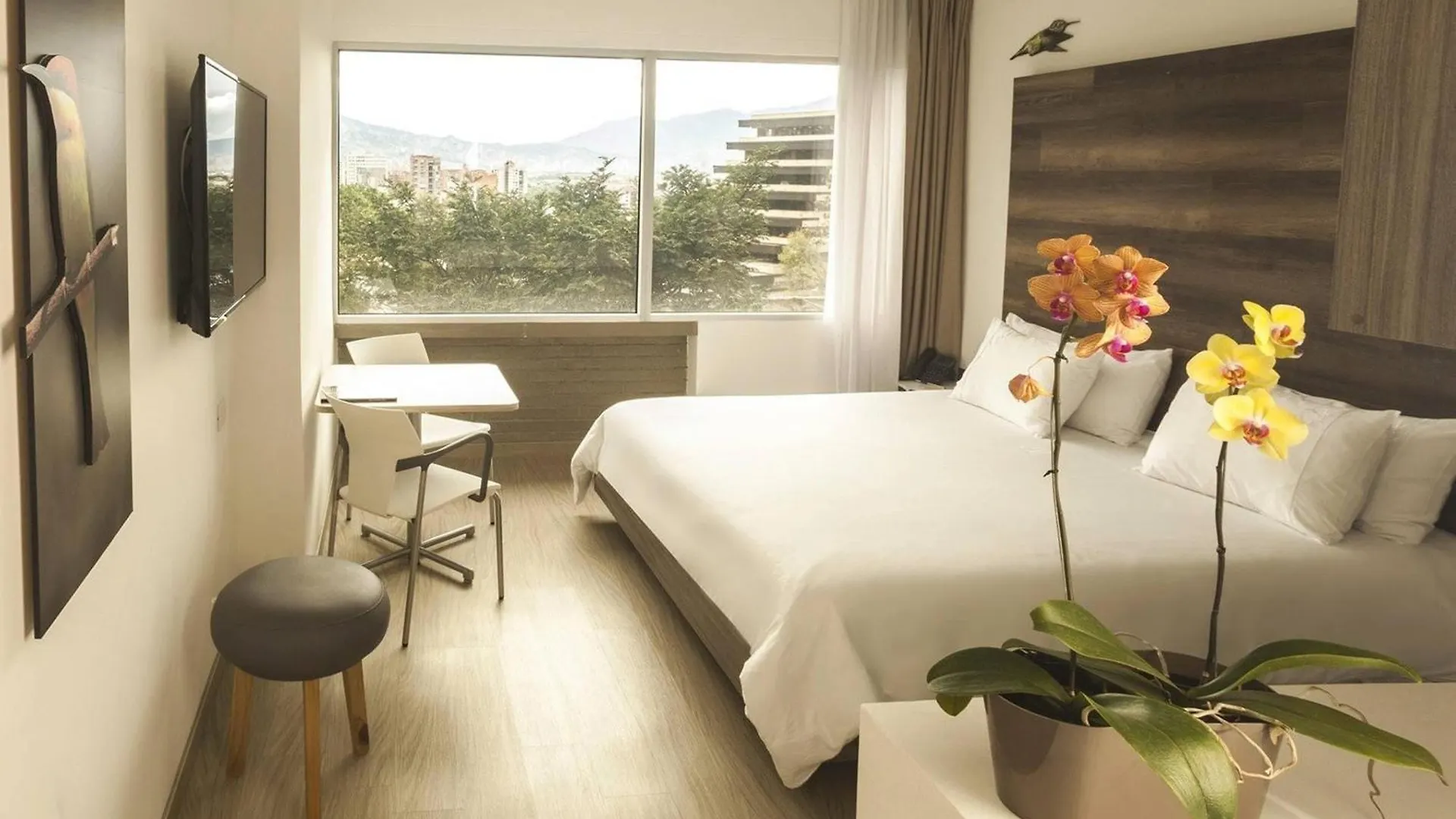 V Grand Hotel, A Member Of Radisson Individuals 메딜린 호텔
