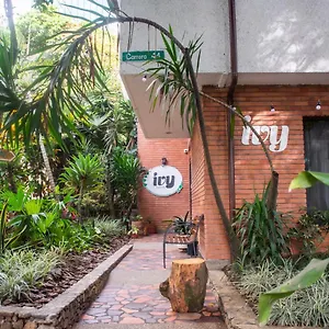  Albergue Ivy